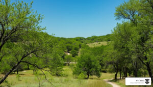 Walk the Walk: Exploring Downtown Austin on Foot (2026) 8 Hike the Heights: Exploring Austin’s River Place Nature Trail