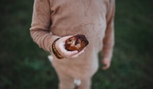 Street Eats: Austin’s Best Food Truck Parks and Trucks
