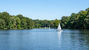 Best Lakes Near Austin for Swimming and Boating